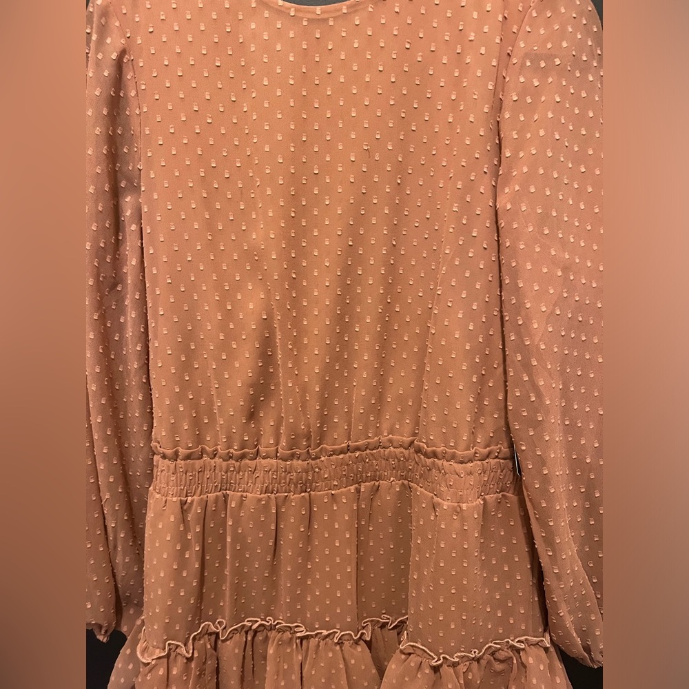 Express Long-Sleeve tiered Ruffle Dress… - Picture 5 of 10